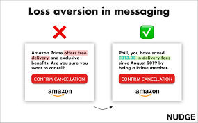 Loss Aversion in Marketing and Commercials: A Multifaceted Analysis